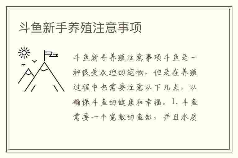 斗鱼新手养殖注意事项